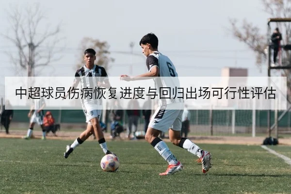 中超球员伤病恢复进度与回归出场可行性评估
